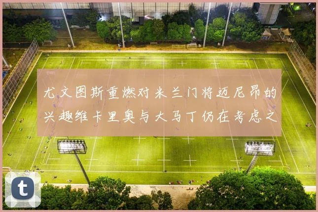 尤文图斯重燃对米兰门将迈尼昂的兴趣维卡里奥与大马丁仍在考虑之中