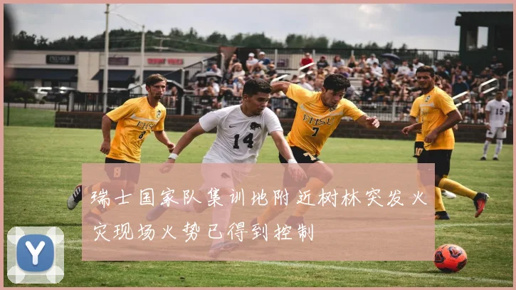瑞士国家队集训地附近树林突发火灾现场火势已得到控制